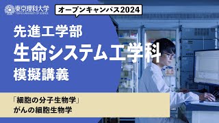 東京理科大学　オープンキャンパス2024　先進工学部　生命システム工学科　模擬講義