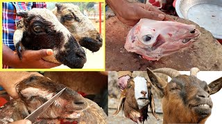 Goat Head Cutting Skills | Amazingly Fast Goat Head Cutting Skills | Amazing Cutting Style | Cutting