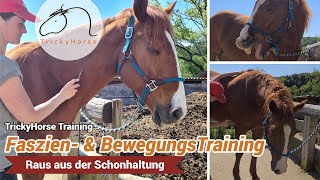 Faszien- und Bewegungstraining bei TrickyHorse Training