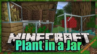 Plant In a Jar Fabric Mod 1.17.1 - Minecraft Mods for PC