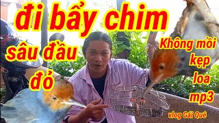 Bẩy Chim Sâu Đầu Đỏ.Bắt Chim Bổi ,Kẹp Loa Mp3 Đi Bẩy Chim Sâu Đầu Đỏ Rất Hiệu Quả..Vlog Gái Quê