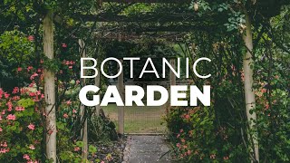 Conheça o BOTANIC GARDEN de Dublin | EuroTrip | English You