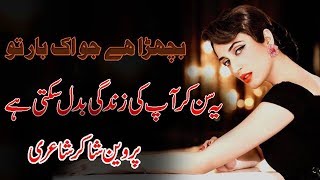 H tv 2018 | Bichra Hai Jo Ek Bar | Parveen Shakir Poetry New 2018 |By Zain Haider