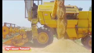 گندم کے کاشتکاروں کے نام پیغام ، بہتر پیداوار کیسے ، wheat cultivation punjab, pakistan