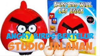 Mainan Angry Birds Bertelur