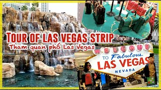 A Little Tour of Las Vegas Strip | Một chuyến tham quan nhỏ của Las Vegas - #271