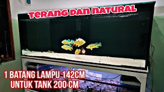 Setting Pencahayaan Tank Predator 2 Meter || Lampu Kandila Pro Red Day & Night