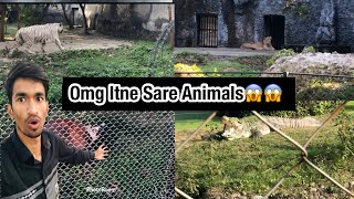 Apni Life Me Pehli Baar Dekhe Itne Sare Animals | Aakib Shaikh #aakibshaikh #animals #tiger