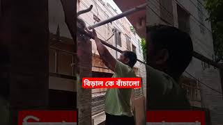 আটকে পড়া বিড়াল কে বাঁচাতে গিয়ে বিড়ালের আছড়ে ডাক্তারের কাছে গিয়ে ইনজেকশন নিতে হয়েছে জহিরুল ভাই কে।