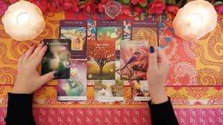 ♎️ Weegschaal • Wat Mag Je Nu Weten? • Tarot Reading 2024