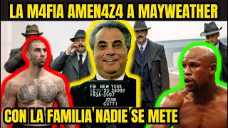 EN PELIGRO MAYWEARHER | PROVOCO a la FAMILIA GOTTI | CONTROLAN NUEVA YORK