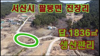 [딸기331]충남 서산시 팔봉면 진장리 토지 555p 매매. 딸기공인중개사 041.662.0880