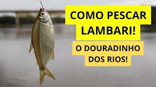 TODO MUNDO AMA! COMO PESCAR LAMBARI!