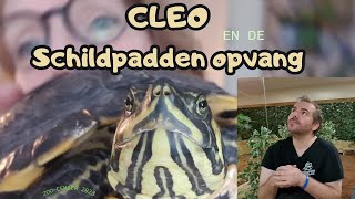 Cleo en de Schildpaddenopvang #7 Zoo-cember