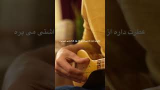 تقدیر شادمهر عقیلی ،اجرای تکنوازی سه تار ،هاتف ملکشاهی