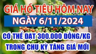 Giá tiêu hôm nay 6/11: có thể đạt 300.000 đồng/kg trong chu kỳ tăng giá mới