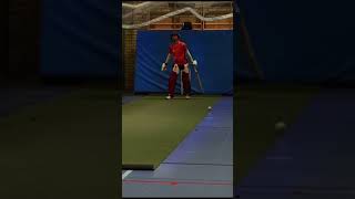 Satisfying Bat Sound #HomiKhan #shorts #ytshorts #SHORTS #cricketlover