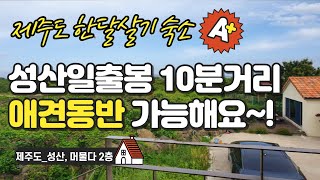 제주도 #한달살기 숙소_성산, 머물다 2층