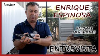 PALOMAS MENSAJERAS.- ENRIQUE ESPINOSA  2023