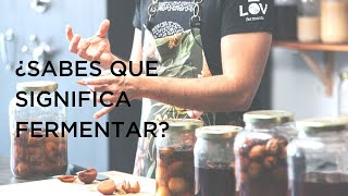 ¿Qué es fermentar? 🦠🦠