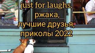 Best friends, just for laughs, ржака, лучшие друзья,приколы 2022