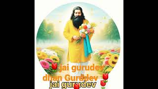 Mera Satgur              #shorts #status_dhan_ Sri guru_ravidas Ravidas _Maharaj Ji🌷