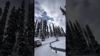 Gulmarg #kashmir #nature #kashmirheaven #kashmirtourism #travel #kashmirbeauty #kashmir #love