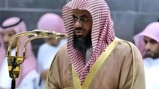 Beautiful Quraan Reaction Shaikh Saud Al-Shuraim||تلاوة جيدة للشيخ سعود الشريم حفظه الله #quran