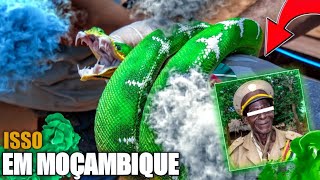 DANÇAR COM COBRA VIVA É A NOSSA CULTURA | ÁFRICA - MOÇAMBIQUE 🇲🇿