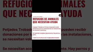 ¡Ayuda Urgente! 🆘 Las Protectores de Animales en Valencia Necesitan de Ti