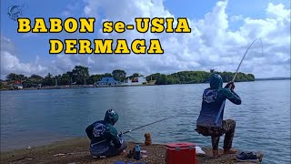 Mancing Baronang BABON se-USIA DERMAGA