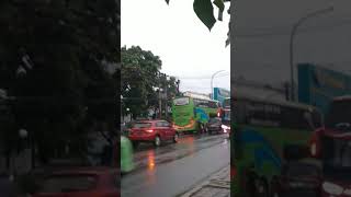 Bis MEDALI MAS jetbus 3 |Malang - Bogor #bismaniacomunity #videoshort