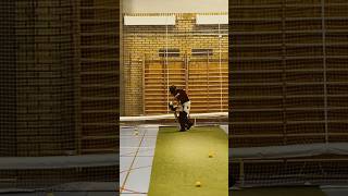 First indoor net session on 2024 #cricket #360 #supportnewyoutuber #t20 #babrazam