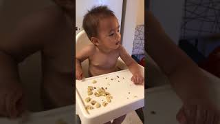 Silly boy eating off the high chair (19 months old)