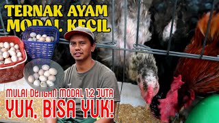 [SKALA ❤️ RUMAHAN] Ternak Ayam KUB Untuk Pemula