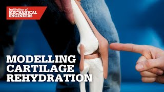 Modelling Cartilage Rehydration: A Numerical Approach