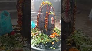 Mahadev | shivratri | mahashivratri | #shorts #viral #shiv #mahashivratri #short #shortbeta