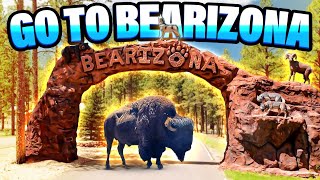 BEARIZONA Wildlife Park Drive-Thru | Route 66 in Williams, Arizona | Tips | Updates