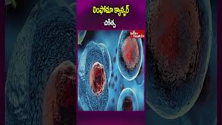 లింఫోమా క్యాన్సర్ చికిత్స #lymphomacancertreatment #healthtips #hmtvhealthplus #shrots