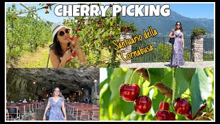 CHERRY PICKING 🍒 | BERGAMO, ITALY 🇮🇹 | SANTUARIO DELLA MADONNA DELLA CORNABUSA ⛪️