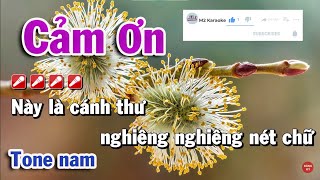 Karaoke Cảm Ơn Đan Nguyên