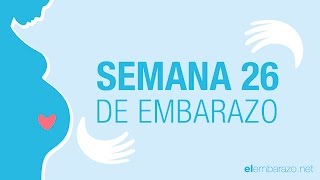 Semana 26 de embarazo | 26 semanas de embarazo | El embarazo semana a semana