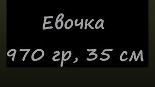 Недоношенный ребёнок || 25 недель || 0 мес - 1год 7 мес