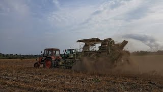 Kartoffeln roden mit Belarus MTZ 820 , Fortschritt E868 und Deutz Fahr M620