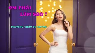 Em Phải Làm Sao -  Phương Thảo Tạ Cover