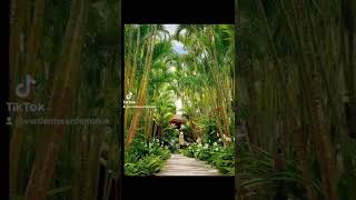 os caminhos mais lindos do jardim da sua casa#jardineiro #jardim #yutubeshorts #viral #mundo