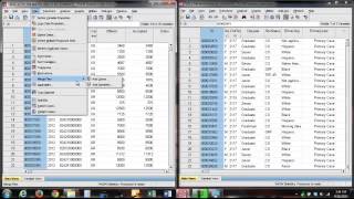 Merge SPSS files containing duplicate records