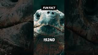 Fun Fact: 🐢👴 Almost 200 Years?!?! #shorts #facts #viral #nature #turtle