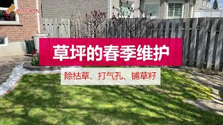 草坪的春季维护/除枯草/打气孔/撒草籽