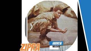 ZIPRA and ZAPU brought about the Zimbabwean independence- Andrew Ndlovu